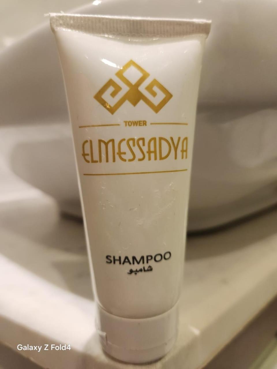 El Mesaadya Hotel 开罗 外观 照片